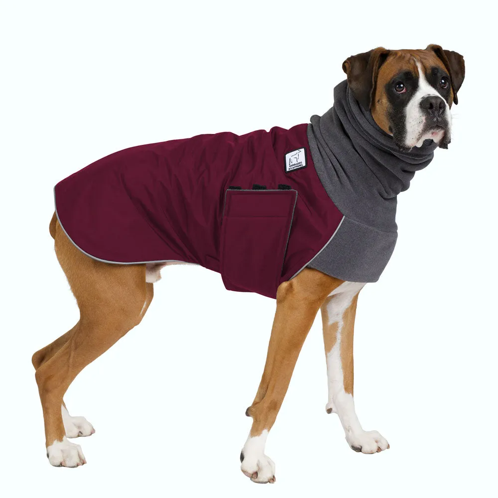 Boxer Winter Coat