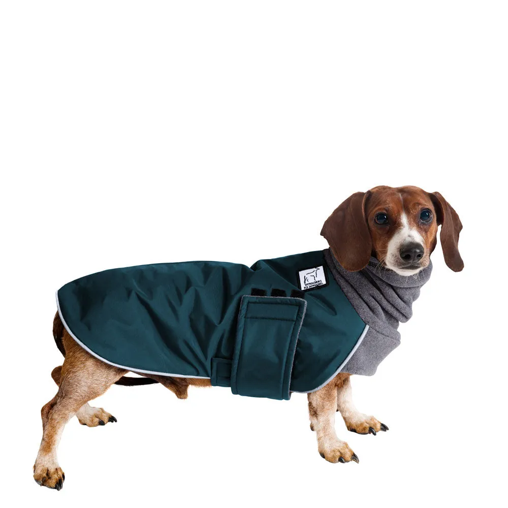 Miniature Dachshund Winter Coat