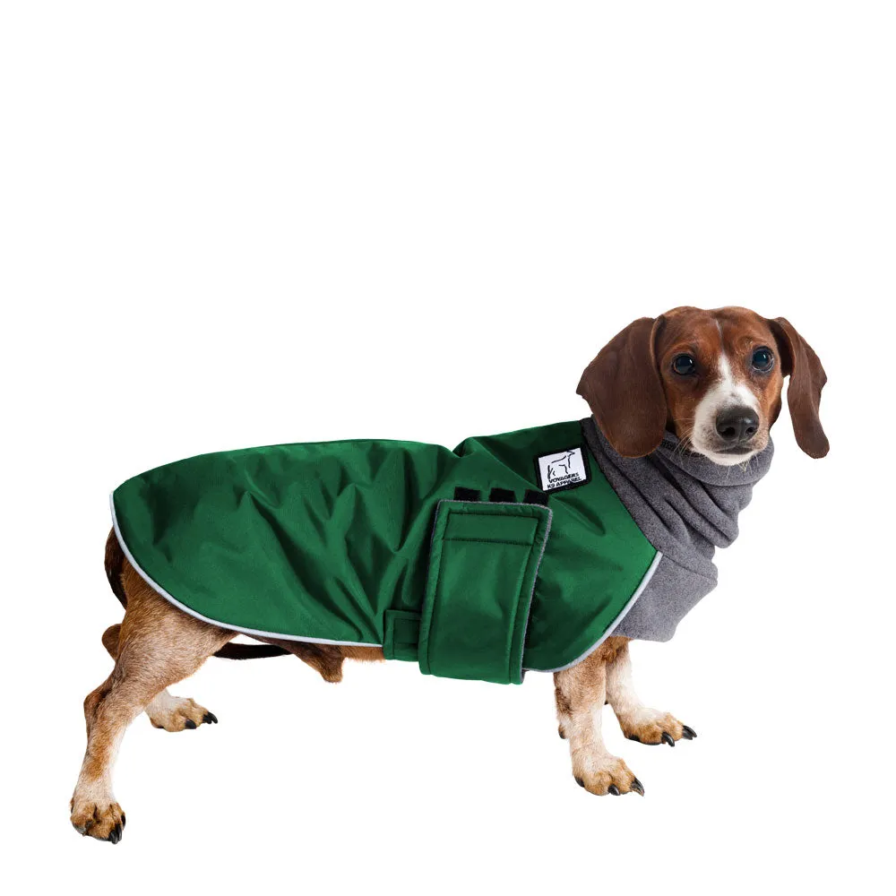 Miniature Dachshund Winter Coat