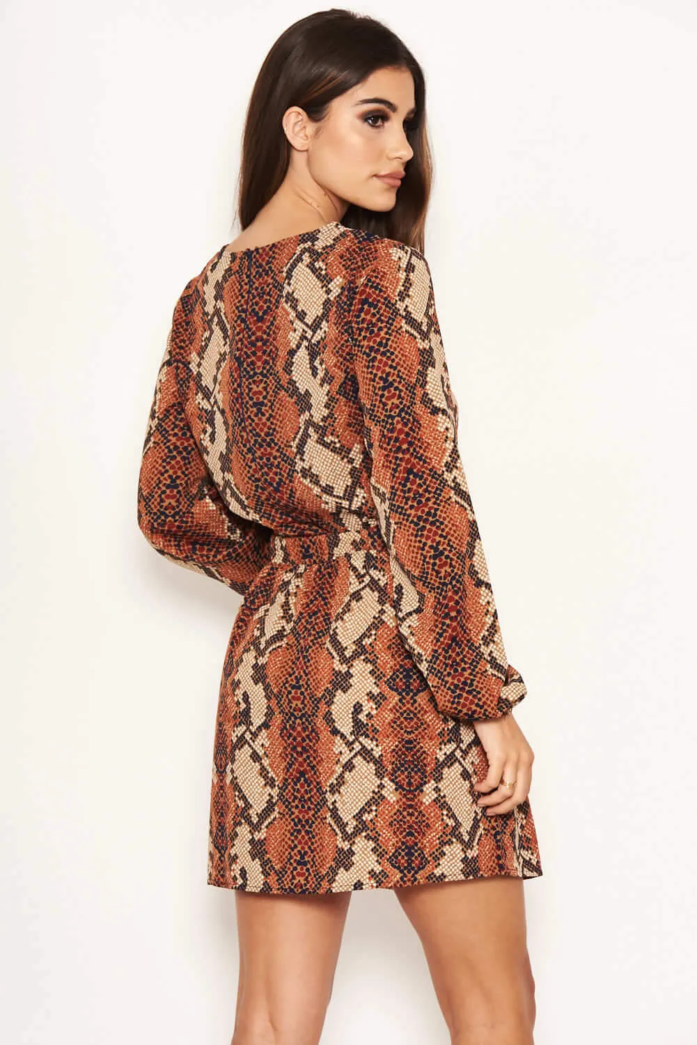 Snake Print Shift Dress