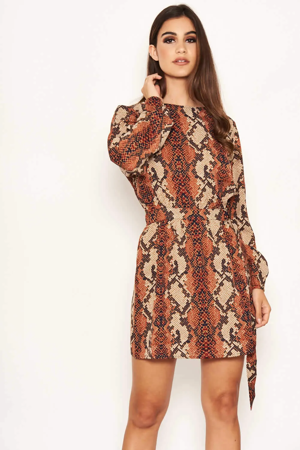 Snake Print Shift Dress