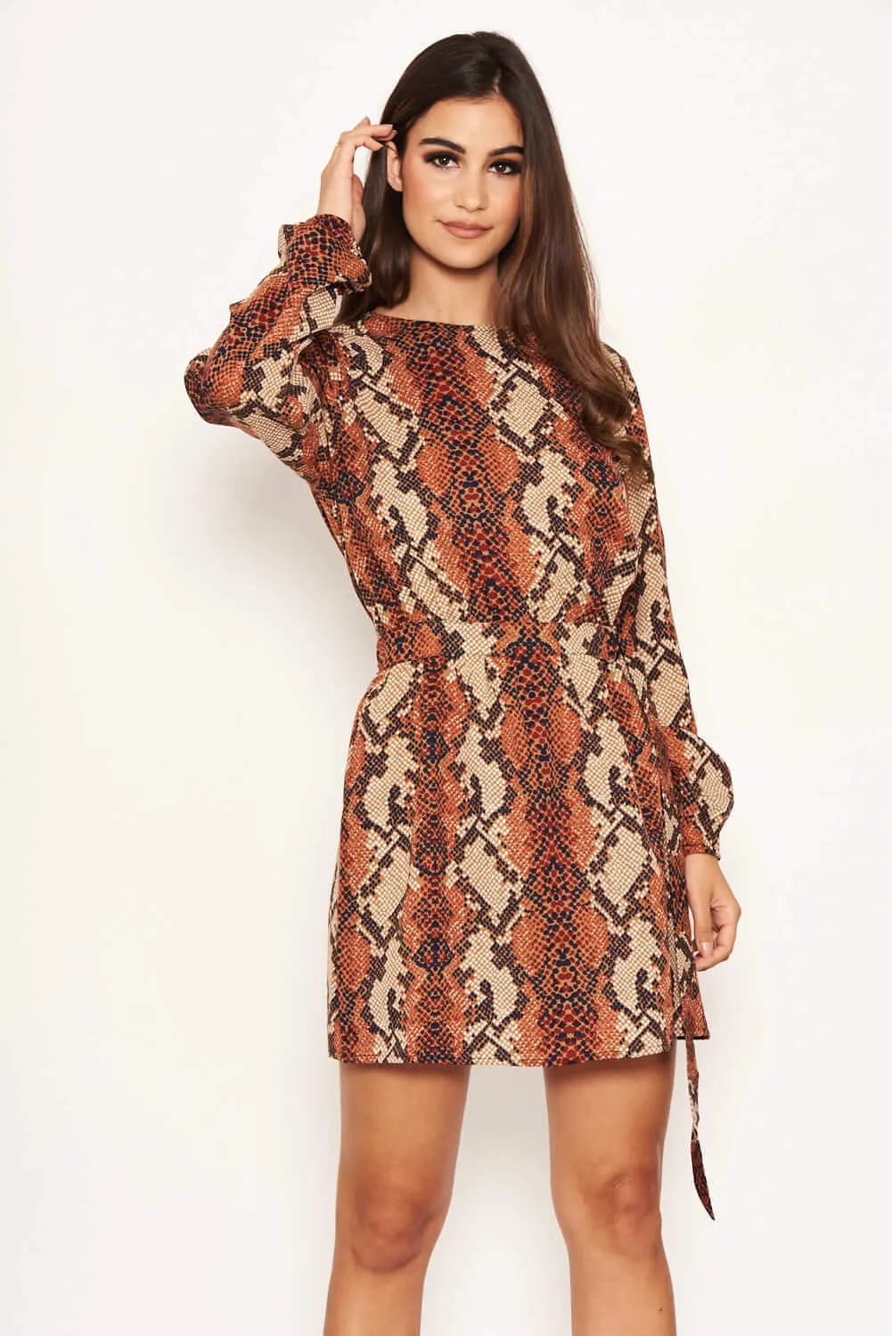 Snake Print Shift Dress